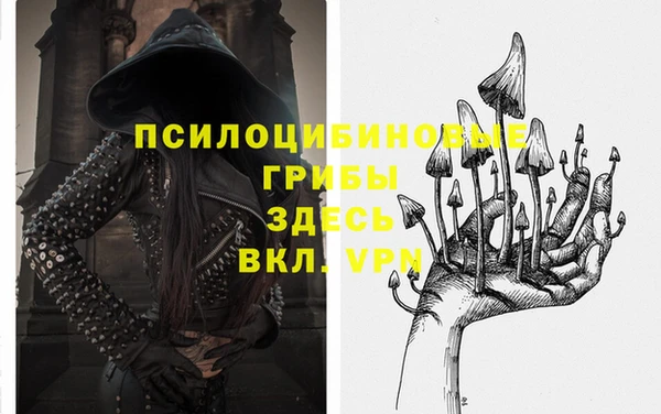 ALPHA PVP Краснослободск